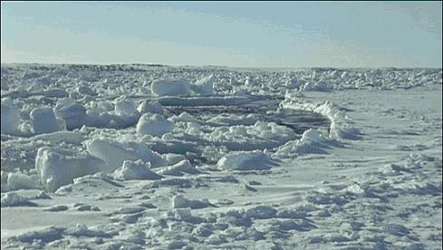 等了17年,等了你十七年