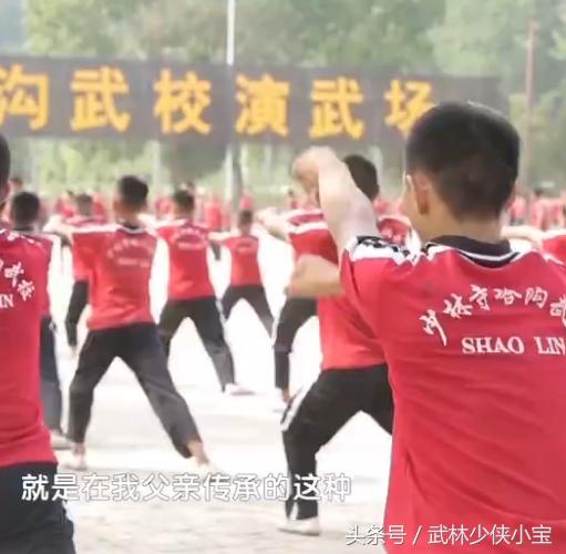 登封少林塔沟武术学校校长,塔沟心意把全套功法视频完整