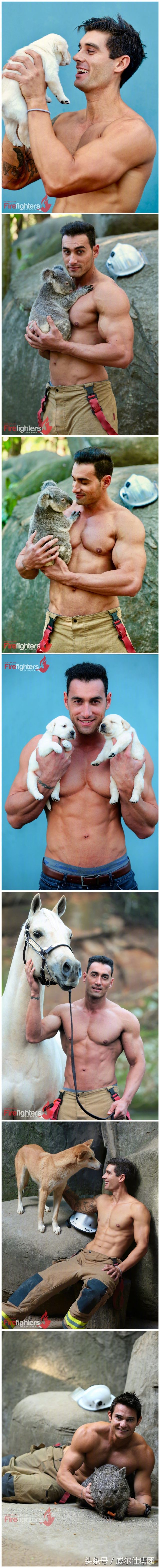 澳洲消防员公益日历图,澳大利亚消防员的日历