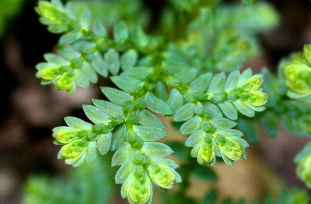 当你一无所有时怎么东山再起,当你一无所有的时候才幡然悔悟