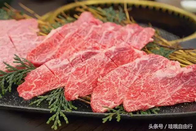 日本九州有哪些旅游景点,日本九州和本州哪里好玩