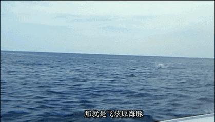 等了17年,等了你十七年