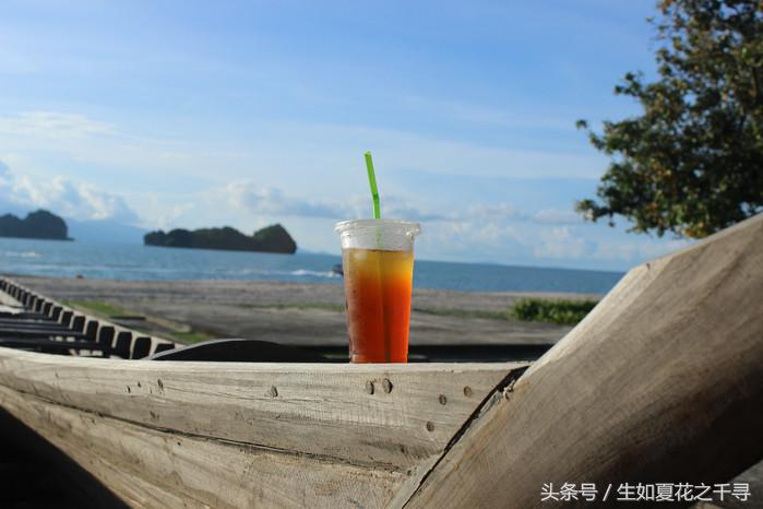 去兰卡威逗小鲨鱼，登嘉楼热浪岛浪一浪