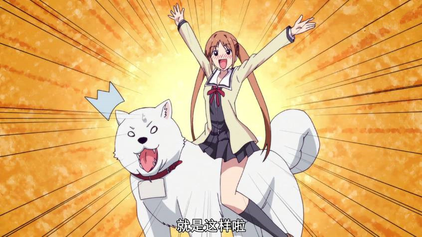 万人评选：“最喜欢的动漫铲屎官”结果公布！