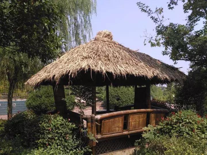 洛龙区银杏帝都温泉地址,洛阳银杏帝都温泉