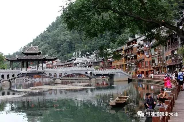 开着房车去遛娃,开着房车带狗狗出去玩