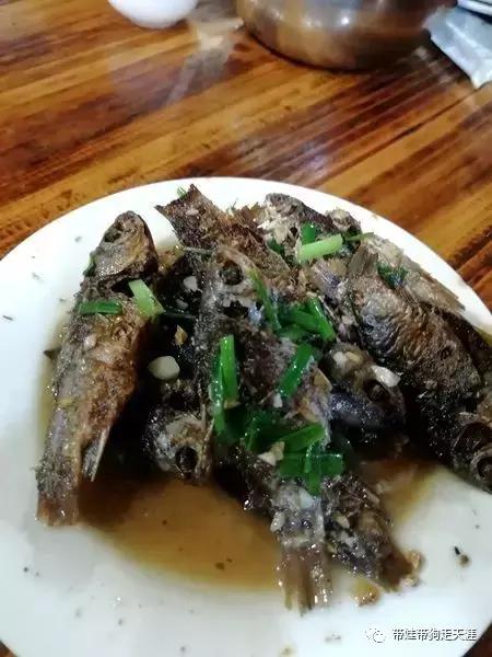 开着房车去遛娃,开着房车带狗狗出去玩