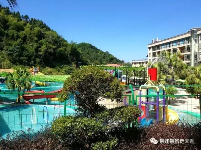 开着房车去遛娃,开着房车带狗狗出去玩