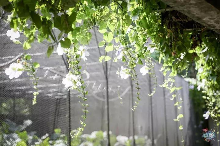 广州动物园的地图,广州动物园下一站去哪里