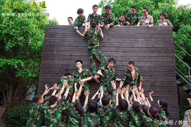 适合农村小本创业项目小型加工厂,利润很吓人10个冷门创业项目农村