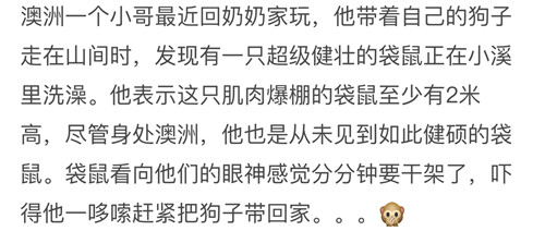 绮夌櫧鐏扮豢钃濋粦鐧介噾,鐏扮豢绮夌櫧钃濋粦鐧介噾