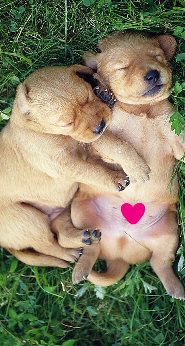 唯美1080×1920P高清壁纸锁屏画面待机背景图！请在wifi环境查看