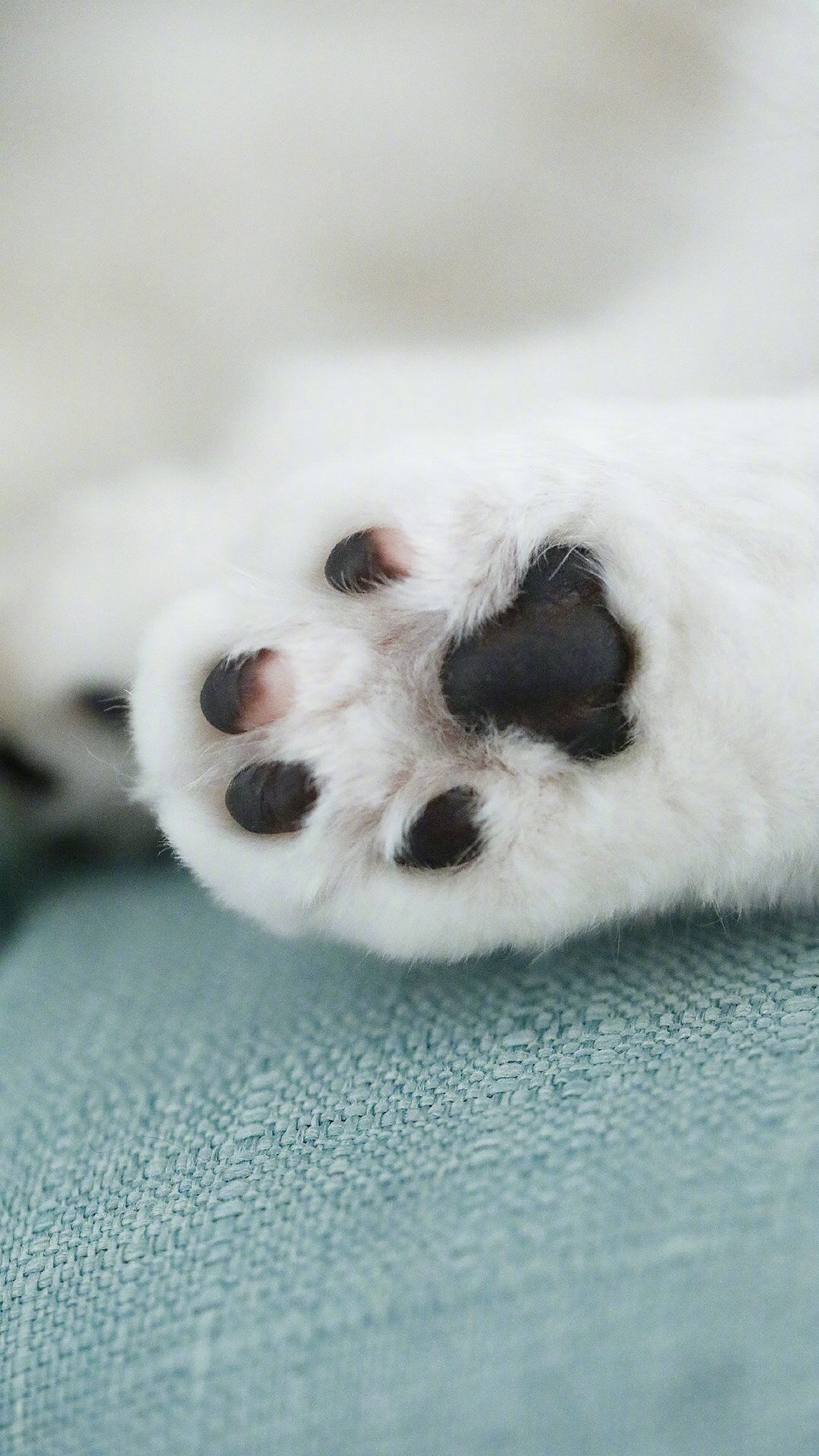 唯美1080×1920P高清壁纸锁屏画面待机背景图！请在wifi环境查看