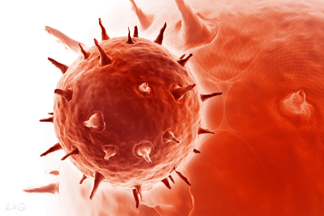 乌龟为什么长寿百科,乌龟长寿中国故事