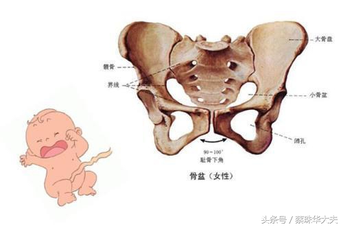 36周开始尿频是要生了吗,32周尿频是快生了吗