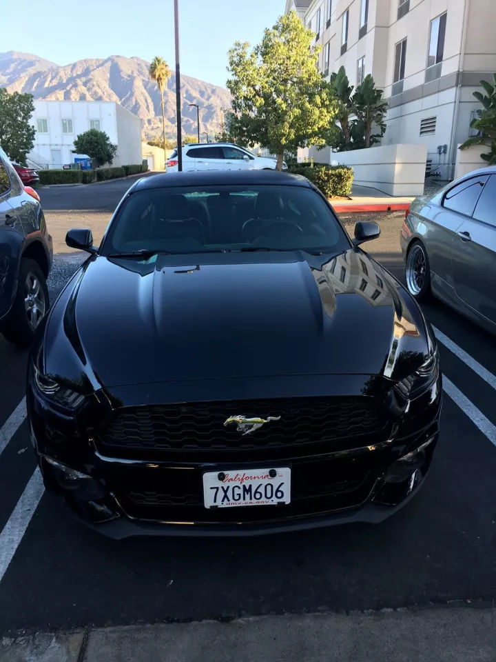 北美野马,北美福特野马