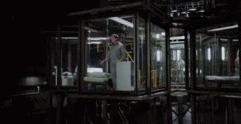 欧美动作片荷尔蒙爆棚,香港经典动作片荷尔蒙爆棚