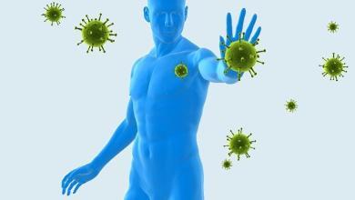 靶向免疫疗法,靶向药物治疗肿瘤机制