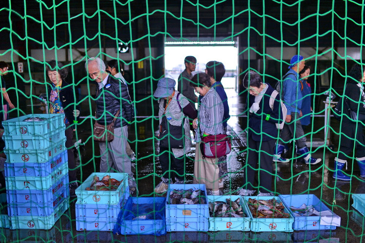 秋游日本,日本北海道第二天游