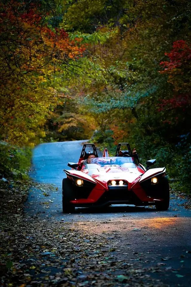 新鲜出炉~赏枫HOT！百名摄影家齐聚庄河天门山