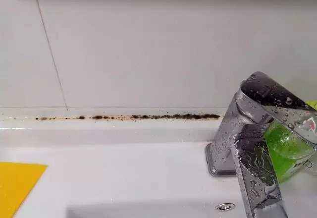 厨房水盆黑呼呼的怎么都刷不掉,问了专业师傅,我赶紧换了玻璃胶
