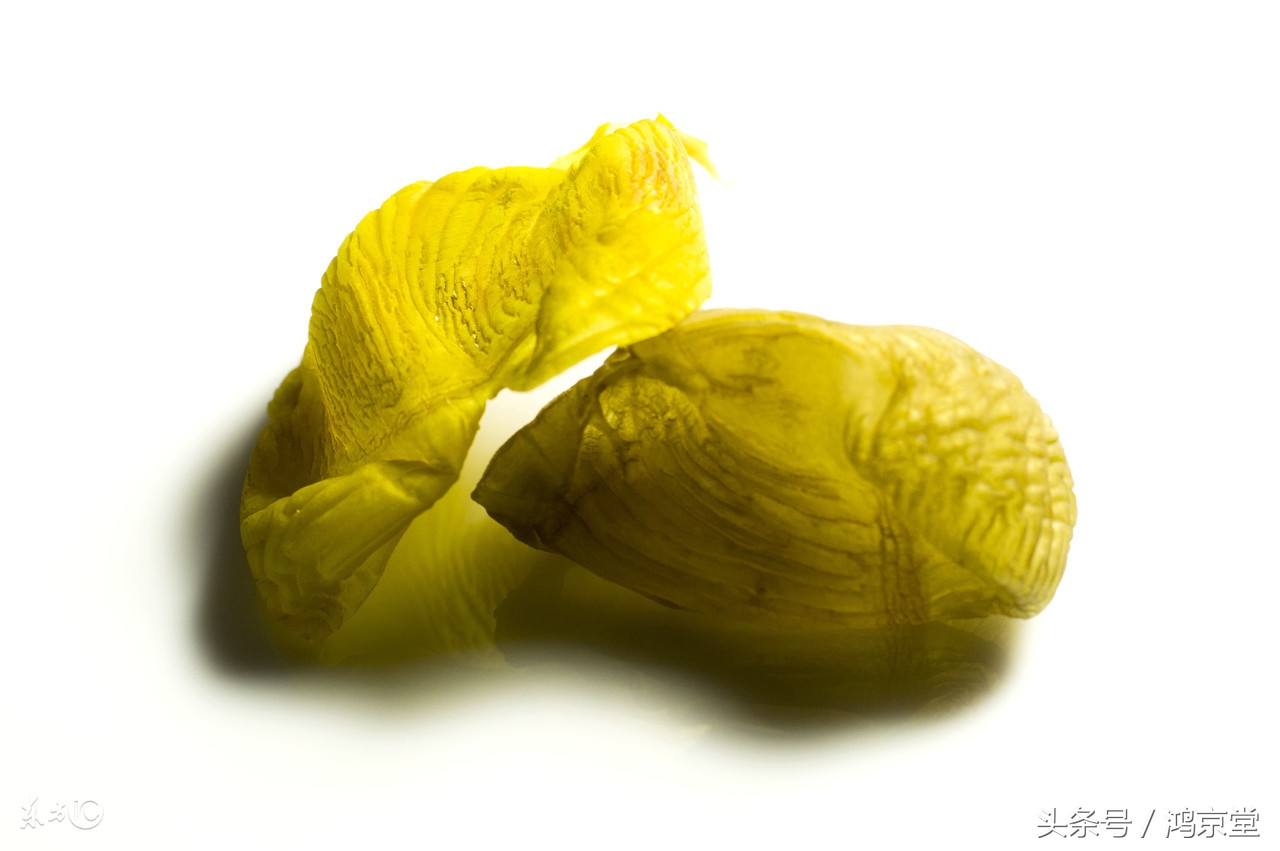 鸡内金营养品的功效作用,鸡内金是保健食品吗