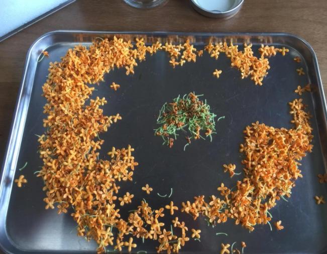 郁金香diy手工,桂花梅花香怎么制作