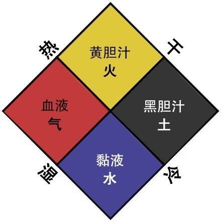 西医伪科学的本质,西医究竟是骗局吗