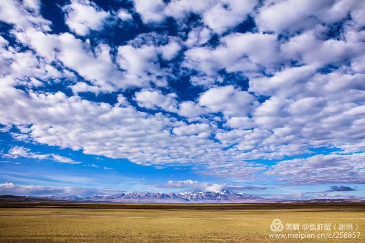 只要能去*藏西**,头痛高反什么的都不care
