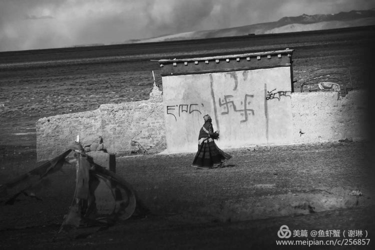 只要能去*藏西**,头痛高反什么的都不care