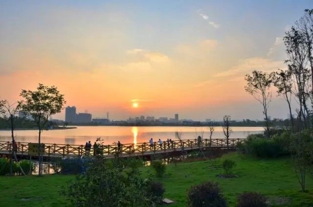 美得不像样子!广州秋季“花潮”来袭,你最想和谁一起看