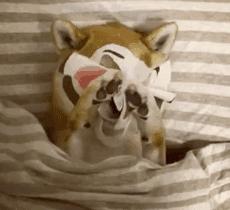 敷了就能白一个度的面膜推荐,敷上效果特别明显的面膜