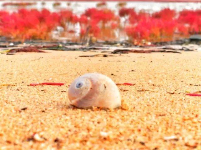 长城wey怎么样,长城wey2022款混动版