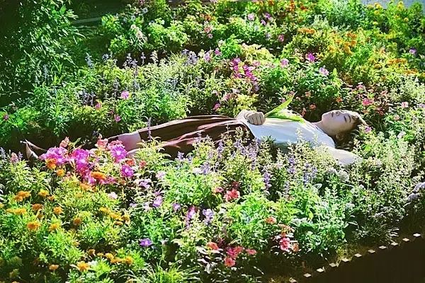 这些黑心萝莉,让我如此反胃