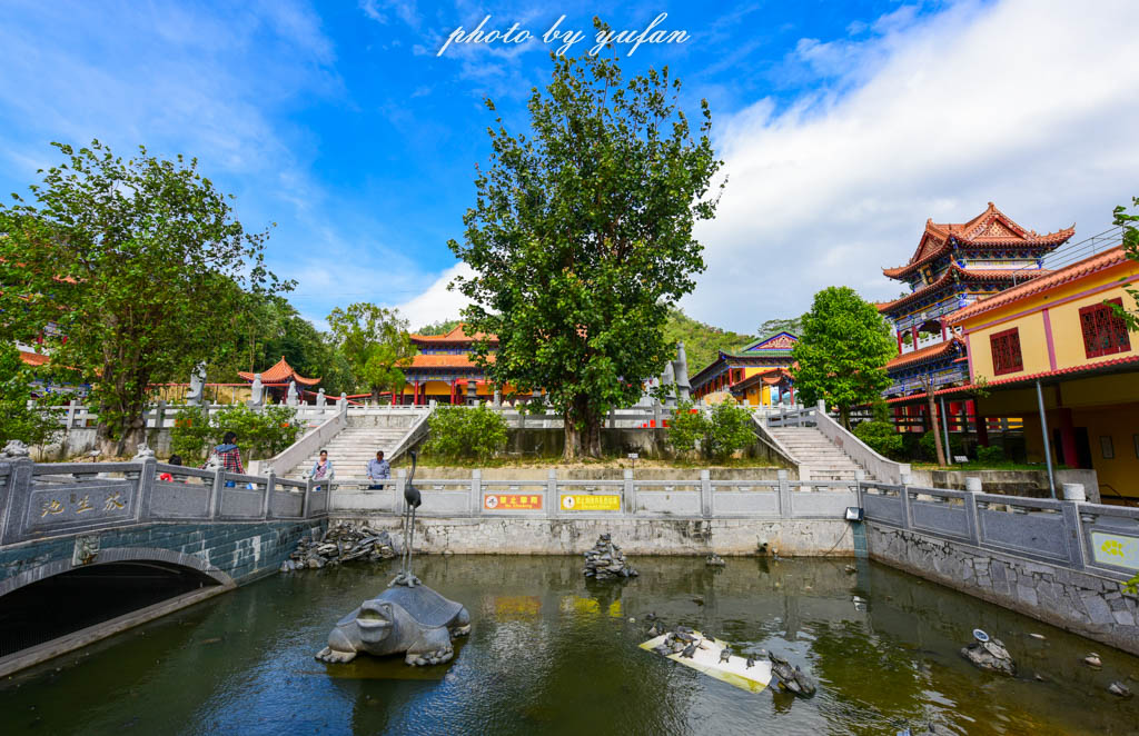 大亚湾亲子嗨玩攻略,大亚湾怎么玩一日游