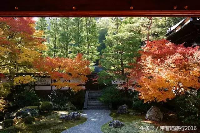 在日本最美的地方生活,在日本无拘无束做自己