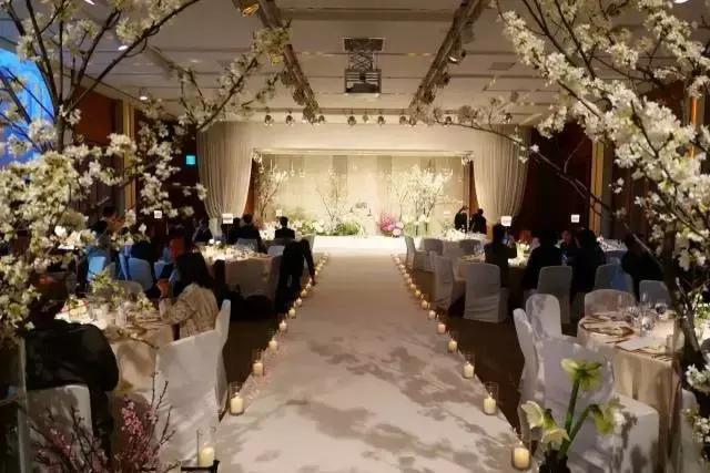 宋宋夫妇结婚视频,2017宋宋夫妇