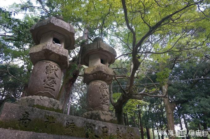 带娃去日本一周自由行,带四岁孩子去日本穷游攻略