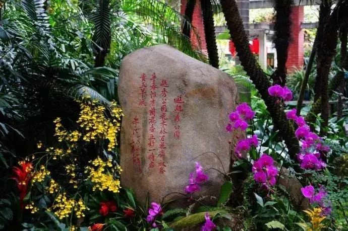 美得不像样子!广州秋季“花潮”来袭,你最想和谁一起看