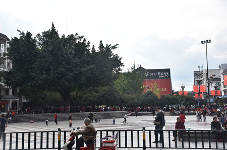 新都黄桷树广场人多吗,新都广场