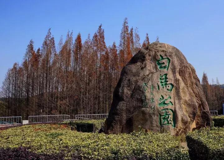 南京骑行最美路线浦口老山,南京十大最美骑行路