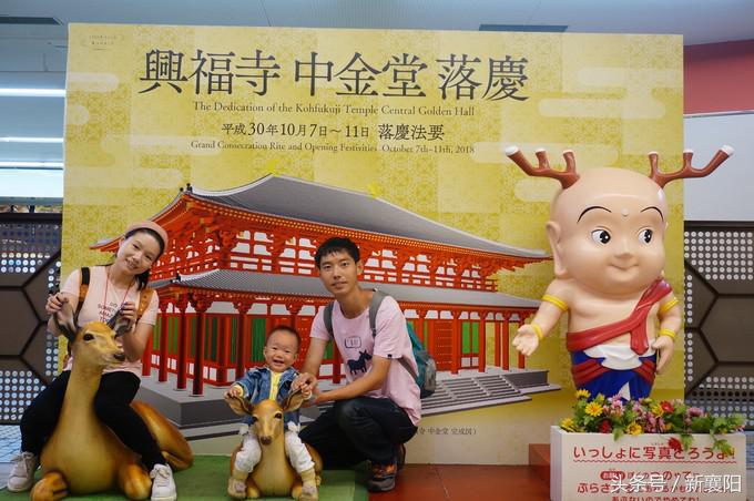 带娃去日本一周自由行,带四岁孩子去日本穷游攻略