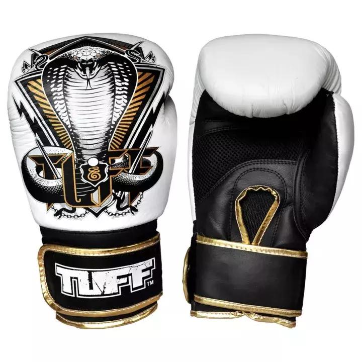 这些事儿都不知道还好意思说自己是拳迷?