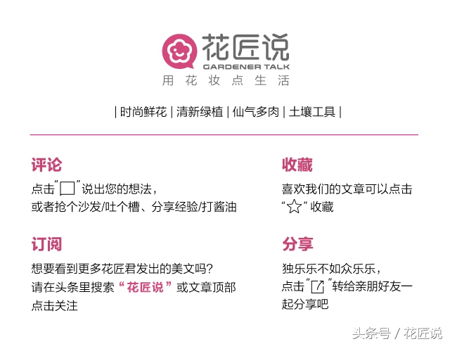 铁树怎么养及注意事项,铁树该怎么养护和浇水