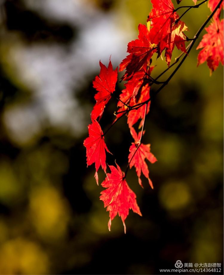 庄河天门山有哪些景观,庄河天门山全景