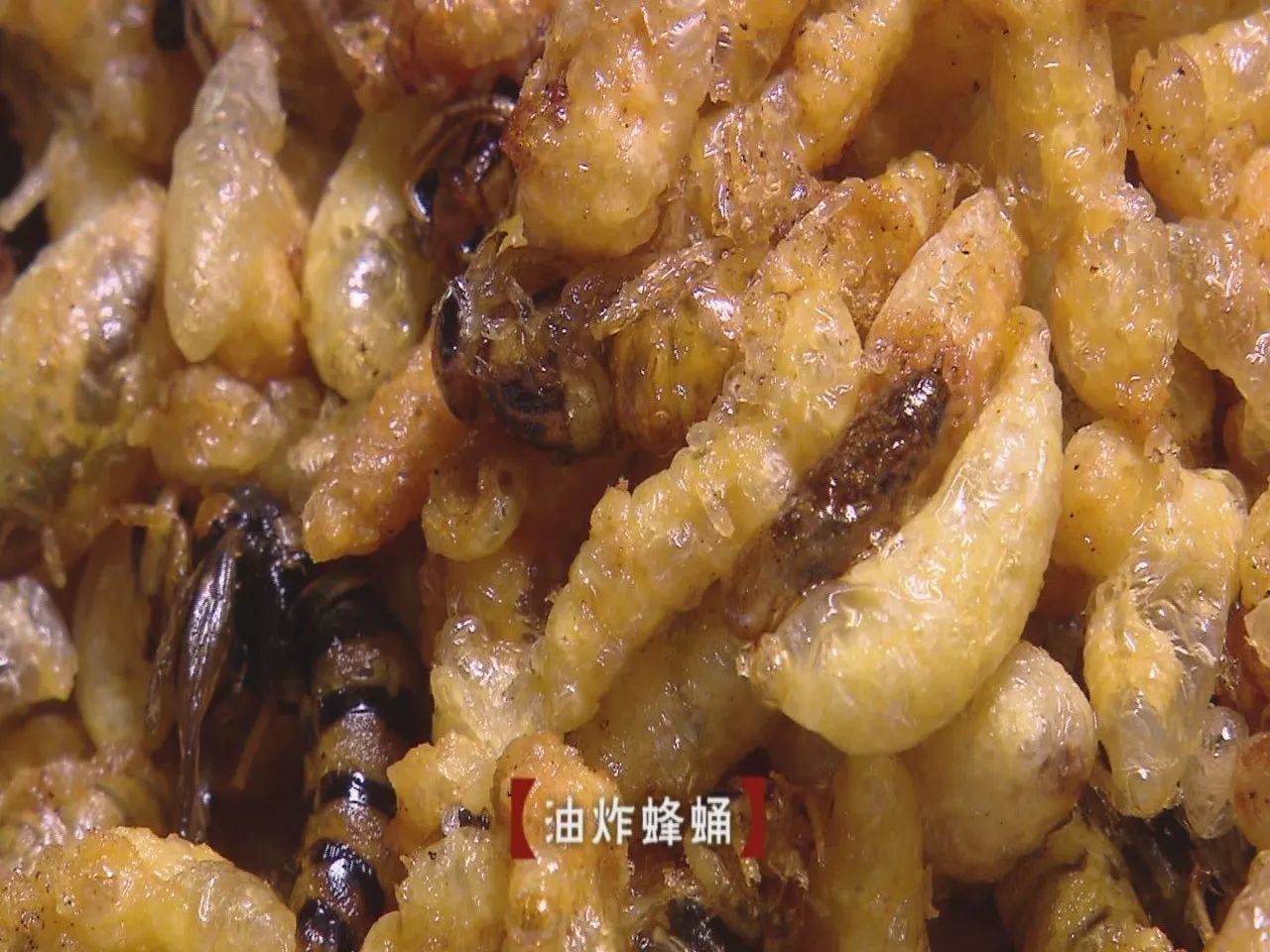 小伙伴们准备好了吗配音,小伙伴们准备好了吗语音