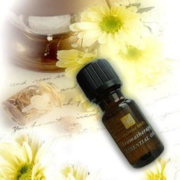 教你认识精油的美妙——乳香精油