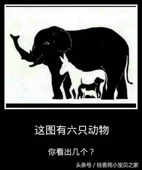 积累描写春夏秋冬的四季的词语,描写春夏秋冬的词语大全