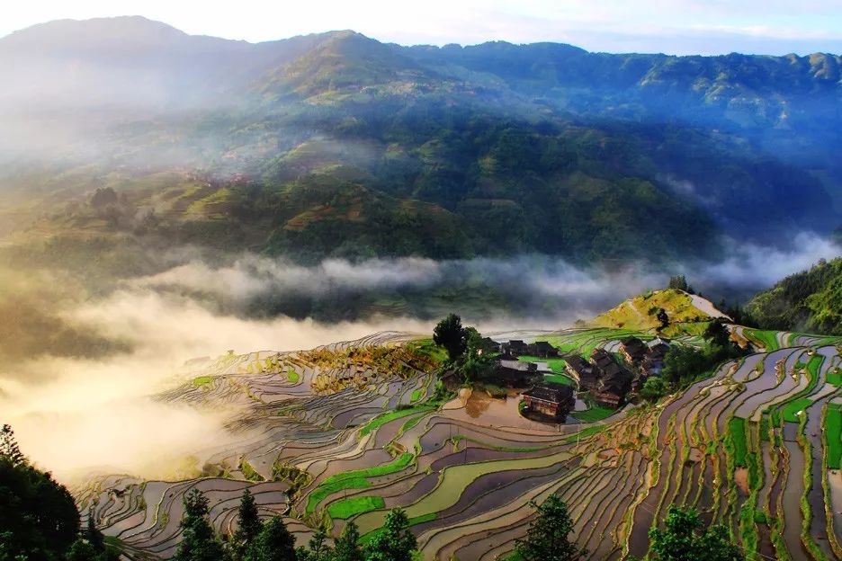 北方已经初冬了，贵州的这些地方秋意正浓，现在去正当时！