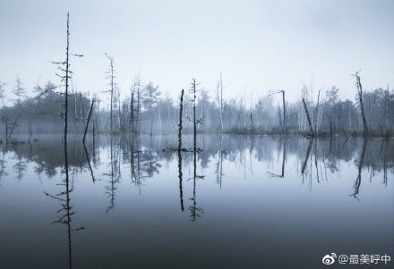 对不起我要去学校了模板,对不起我要去天津了